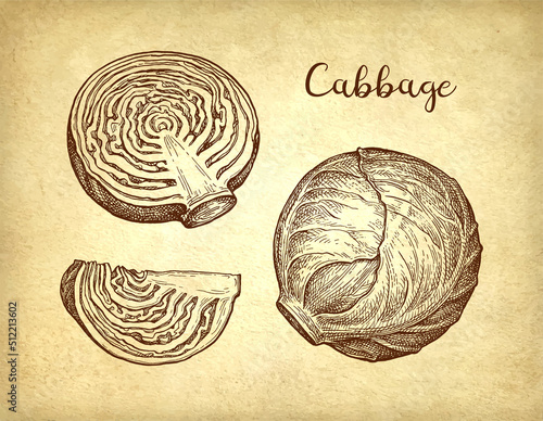 Cabbage ink sketch set.