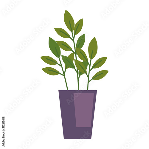 houseplant in purple pot