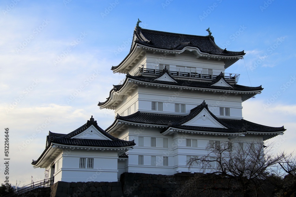 小田原市の城址公園