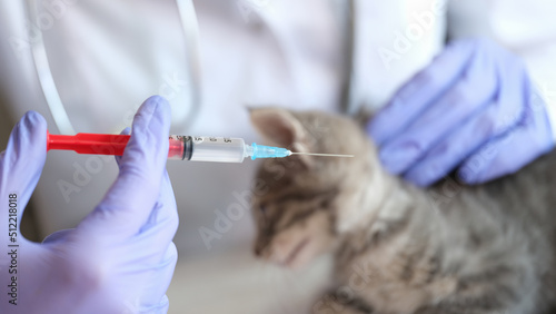 Woman veterinarian making injection to little gray kitten