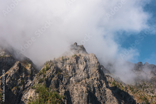 Misty autumn landscape with coniferous trees on sunlit sharp rocks and pointy peak in low clouds. Fading autumn colors in high mountains. Firs on rocky mountain with peaked top in foggy sunny morning.