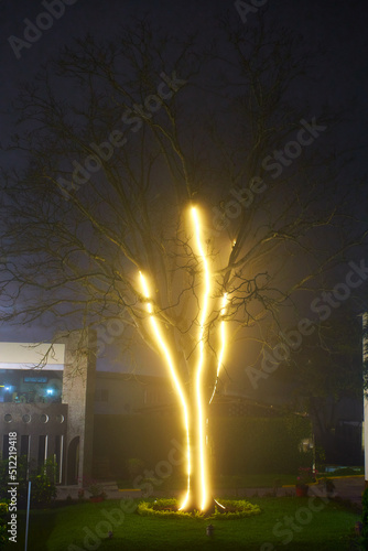 tree at night with light decorated with green grass  © Alex Borderline