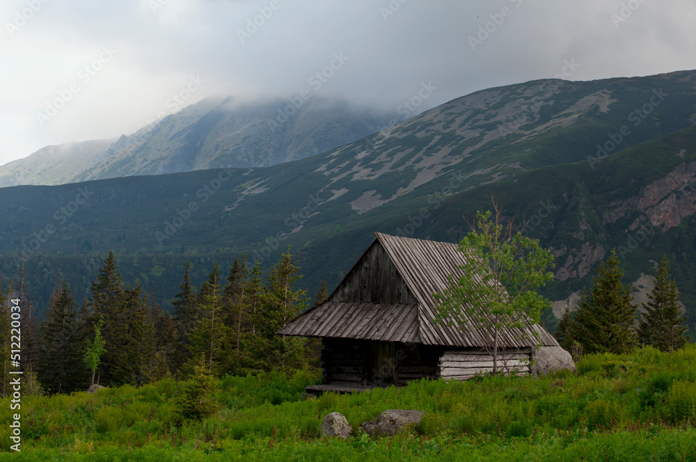 Hala Gasienicowa in Tatra mountains in summer, Zakapane, Poland. Wooden house in the Tatra mountains. Tourist attractions in Poland