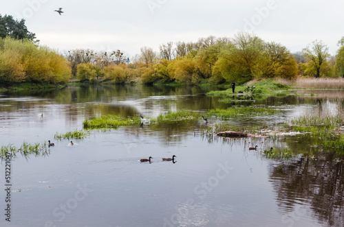 Lake landscape.