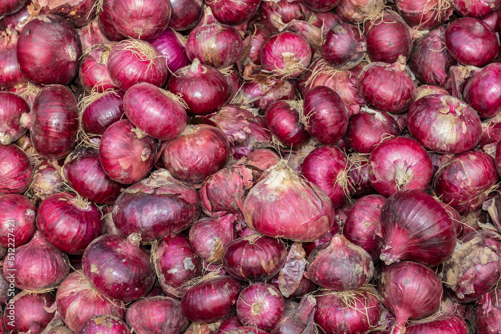 fresh organic onion from farm close up from different angle fresh organic onion from farm close up from different angle
