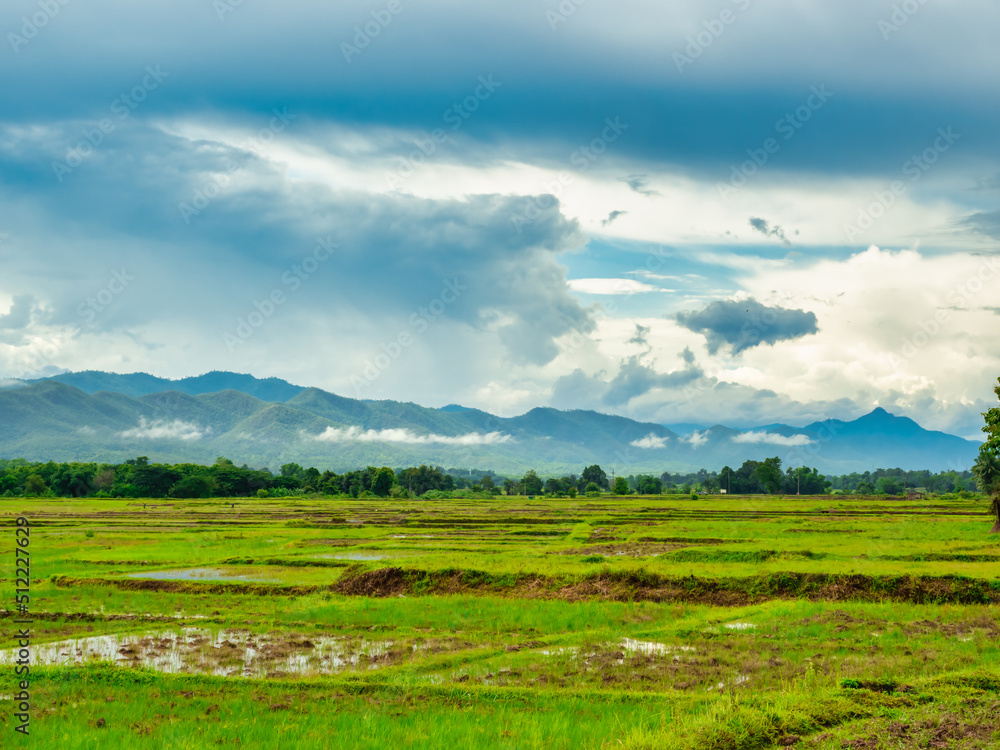 Beautiful scenery of rice fields at the begining of the rainy season with forests, mountains, mist, and sky in the background.