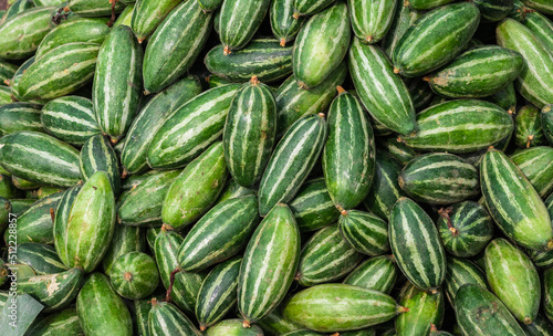 fresh organic pointed gourd from farm close up from different angle