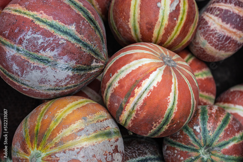 Quadro em tela fresh organic muskmelon from farm close up from different angle