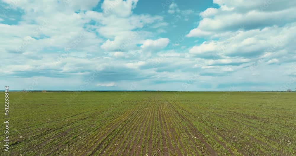 beautiful calm landscape with agricultural sown field and sky with clouds, aerial view, 4K, Prores