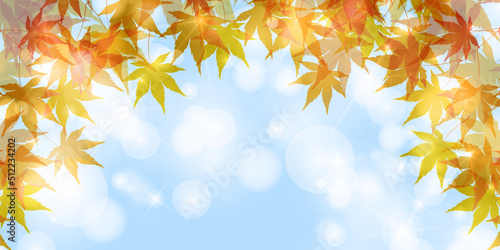 紅葉　もみじ　秋　背景