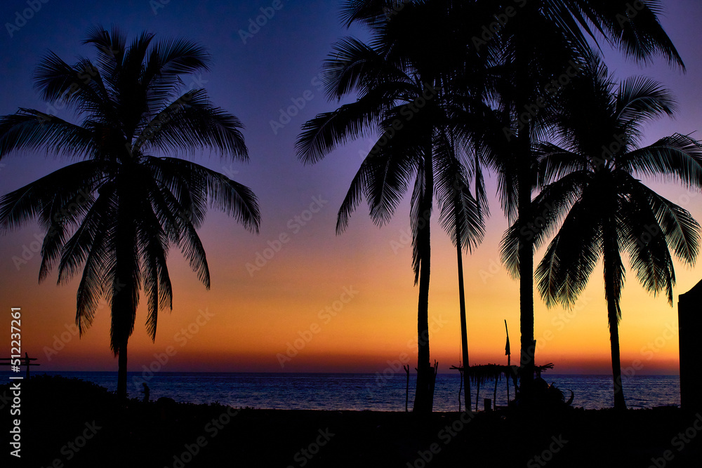 palm trees at evening and sunset on the beach with sea in the background , pie de la cuesta acapulco guerrero 