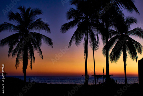palm trees at evening and sunset on the beach with sea in the background   pie de la cuesta acapulco guerrero 
