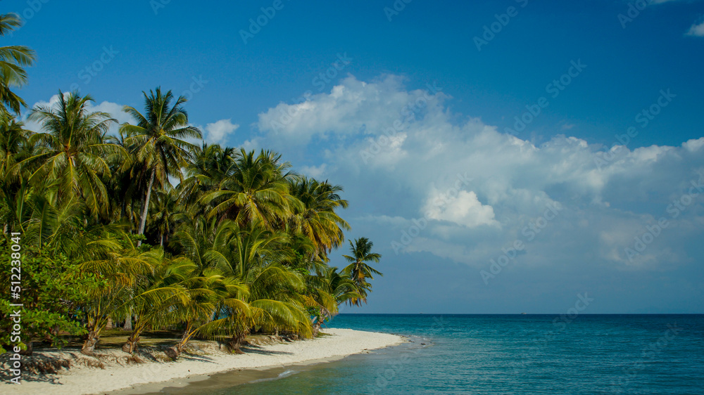 beach with palm trees