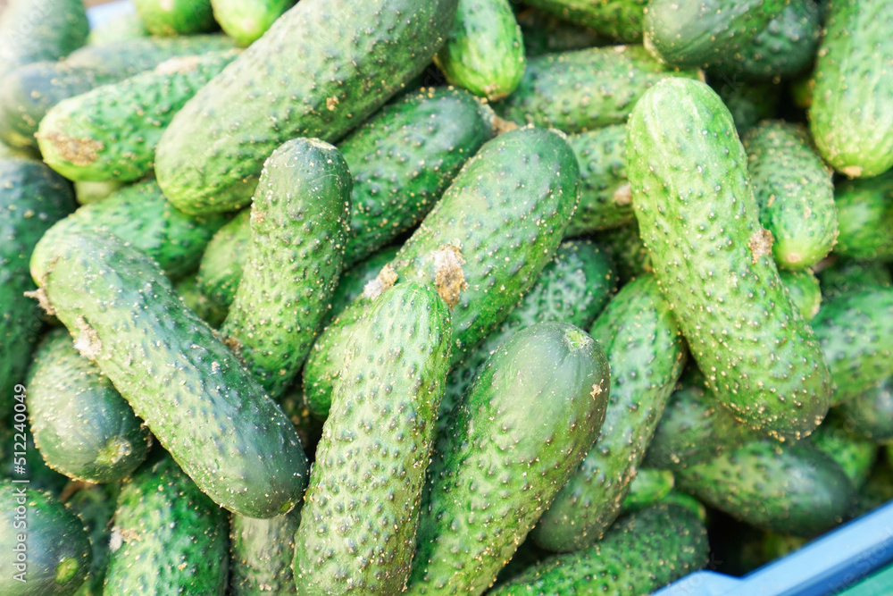 fresh fruits sold in market fresh fruits sold in market