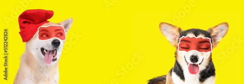 Cute Akita Inu dog with human eyes on yellow background