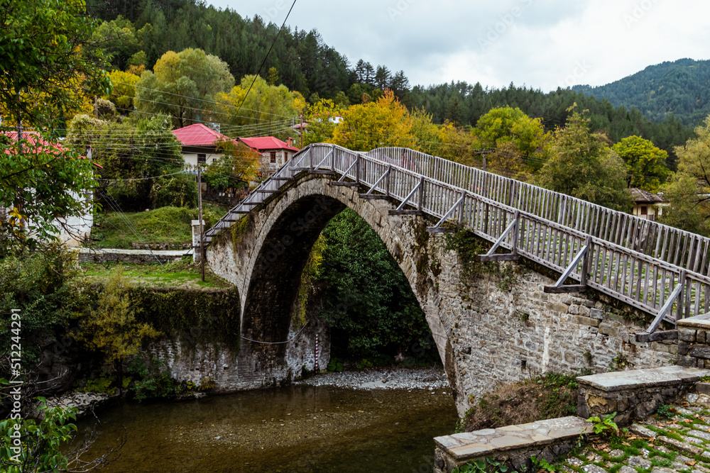Fototapeta premium bridge over the river