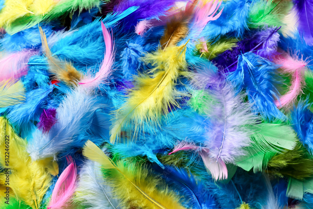 Beautiful bright feathers as background Beautiful bright feathers as background