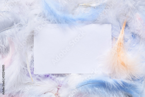 Beautiful feathers and blank card as background