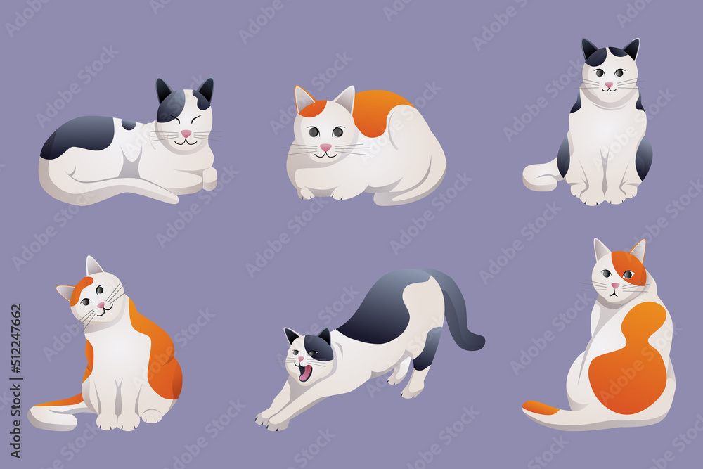 cute cat cartoon collection with different poses and emotions.