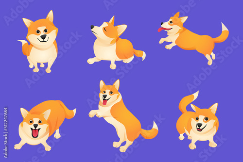 Cute dogs in different poses. corgi cartoon character.