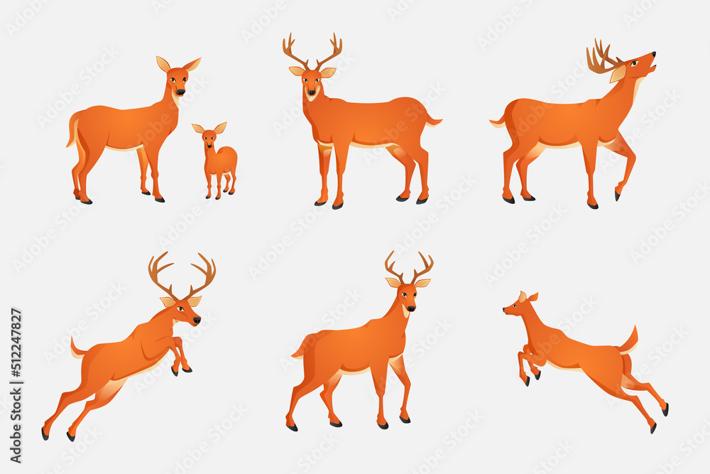 collection of deer cartoon characters on white background collection of deer cartoon characters on white background