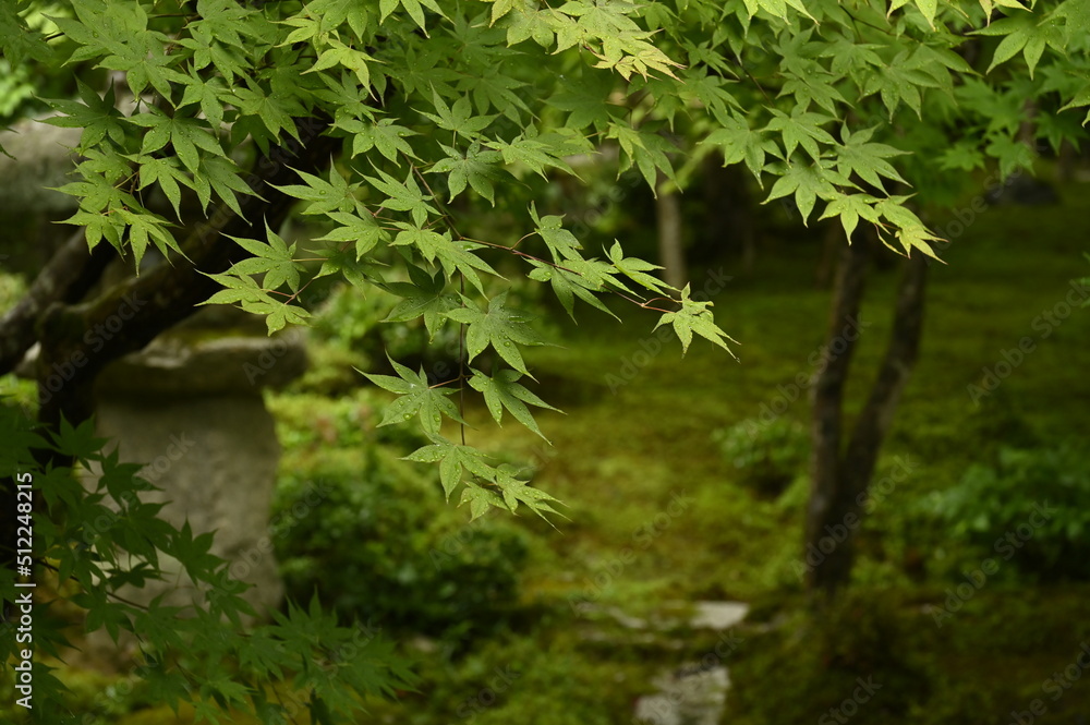圓光寺 圓光寺