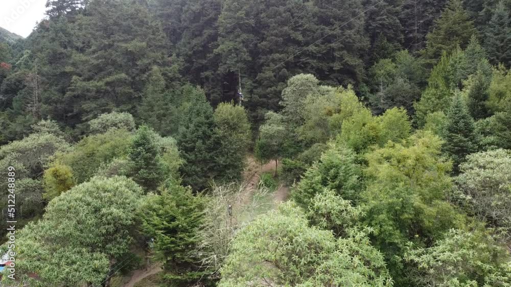 Zip line in Zip line in