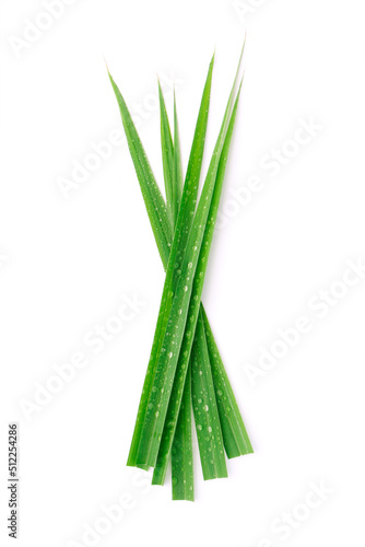 Tip of lemongrass leaf has water drop isolated on white background.