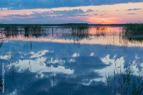Fototapeta Naklejka Na Ścianę i Meble -  Fiery sunset against the backdrop of a lake overgrown with reeds.