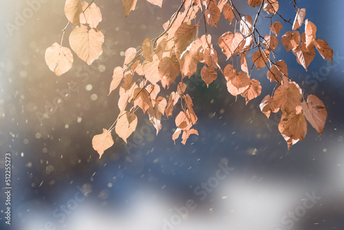 Foto Blurred colorful autumn background