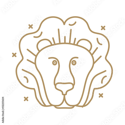 leo astrology zodiac sign