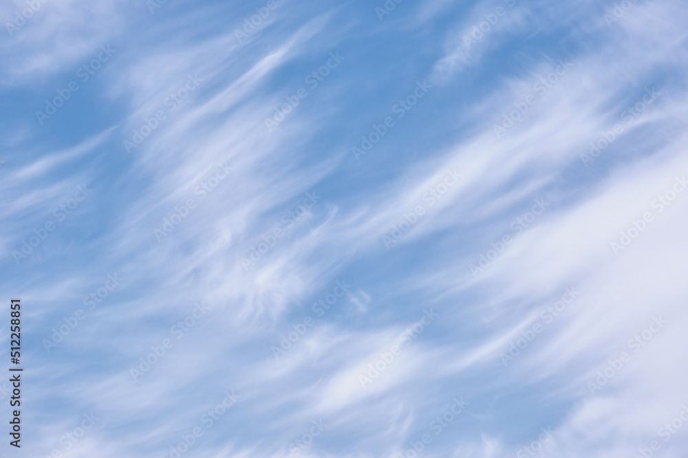 巻雲 / Cirrus clouds