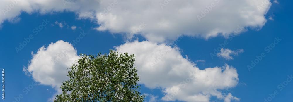 Branches of a tree against the background of clouds on a blue sky on a sunny day. Branches of a tree against the background of clouds on a blue sky on a sunny day.