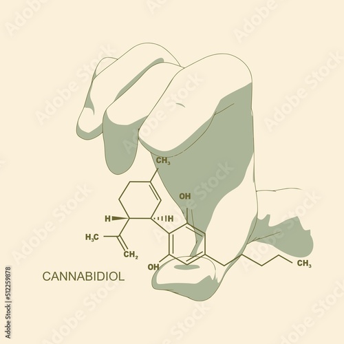 Hand holding chemical molecular formula of cannabidiol.