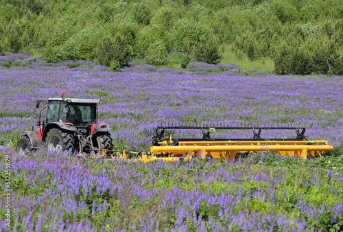 Tractor mower on a field sown with siderates on a summer day photo