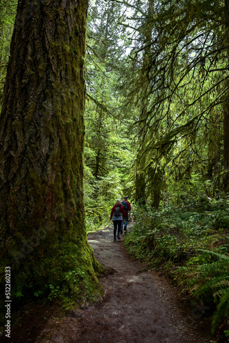 hiking in the woods