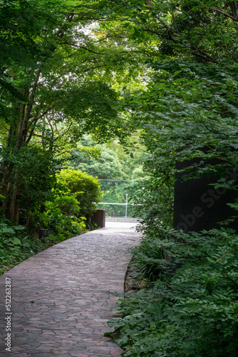 Summer flowers and green leaves at Tokyo city centre