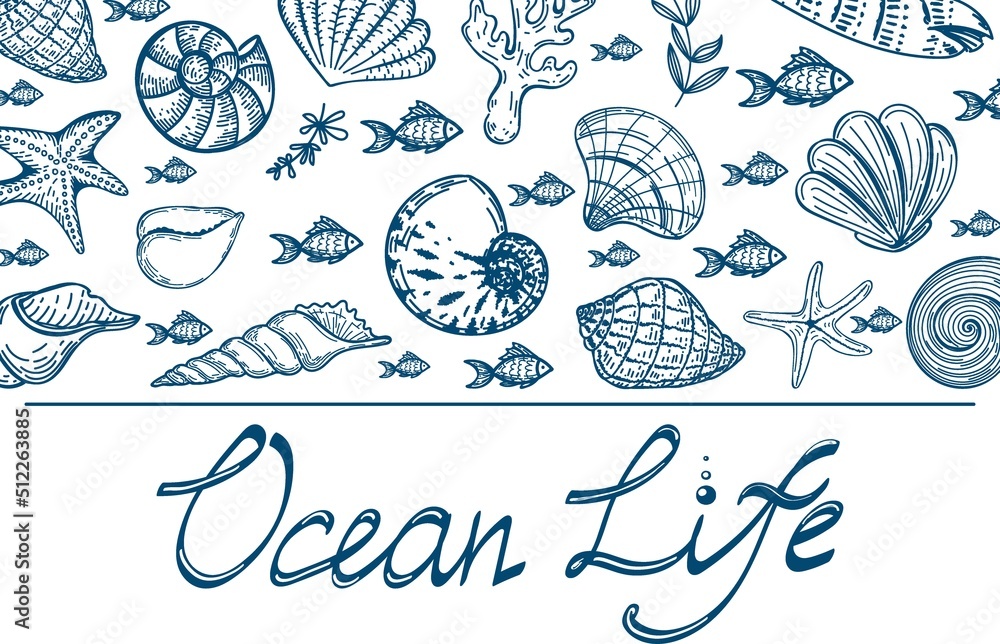 Banner with silhouettes of sea creatures on white background. Great design for advertising. The lettering is handmade. Ocean life. Shells, fish, starfish and seaweed. Hand-drawn elements.