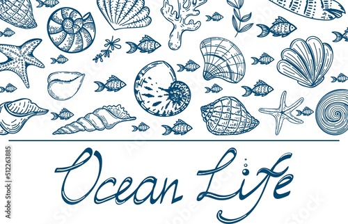 Banner with silhouettes of sea creatures on white background. Great design for advertising. The lettering is handmade. Ocean life. Shells, fish, starfish and seaweed. Hand-drawn elements.