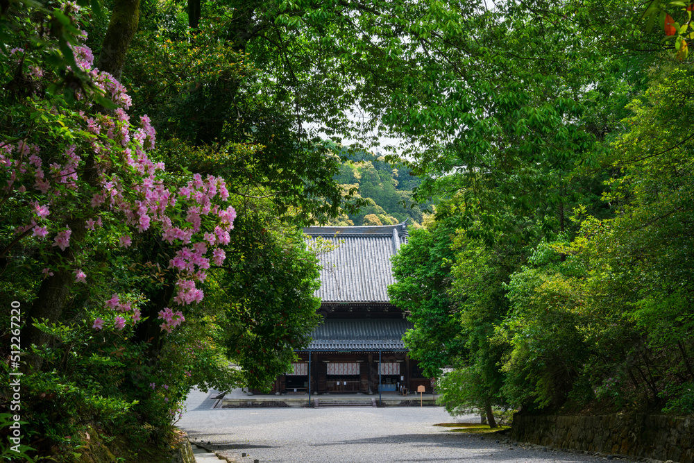 京都　泉涌寺の仏殿