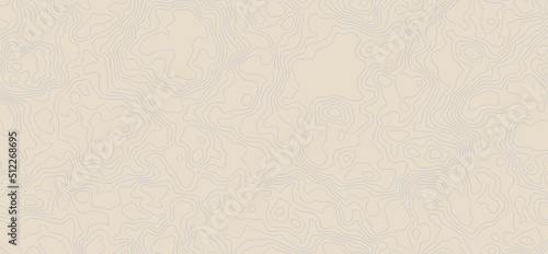 Abstract topographic contours map background. Vector geographic contour map. topography map background. White wave paper curved reliefs abstract background.	