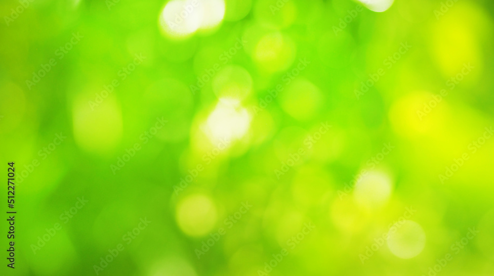 Abstract light green yellow color bokeh beautiful white background, Design for paper art web mobile applications covers card infographic banners social media and copy write Abstract light green yellow color bokeh beautiful white background, Design for paper art web mobile applications covers card infographic banners social media and copy write