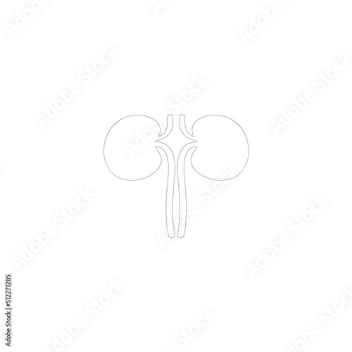 kidney vector illustration element logo