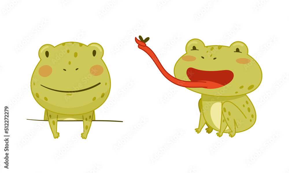 Obraz premium Green funny frog characters set. Cute toad amphibian animal catching fly with tongue and peeking out from behind the wall cartoon vector illustration