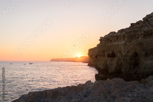 sunset at the beach Portugal with bird flying in the sun