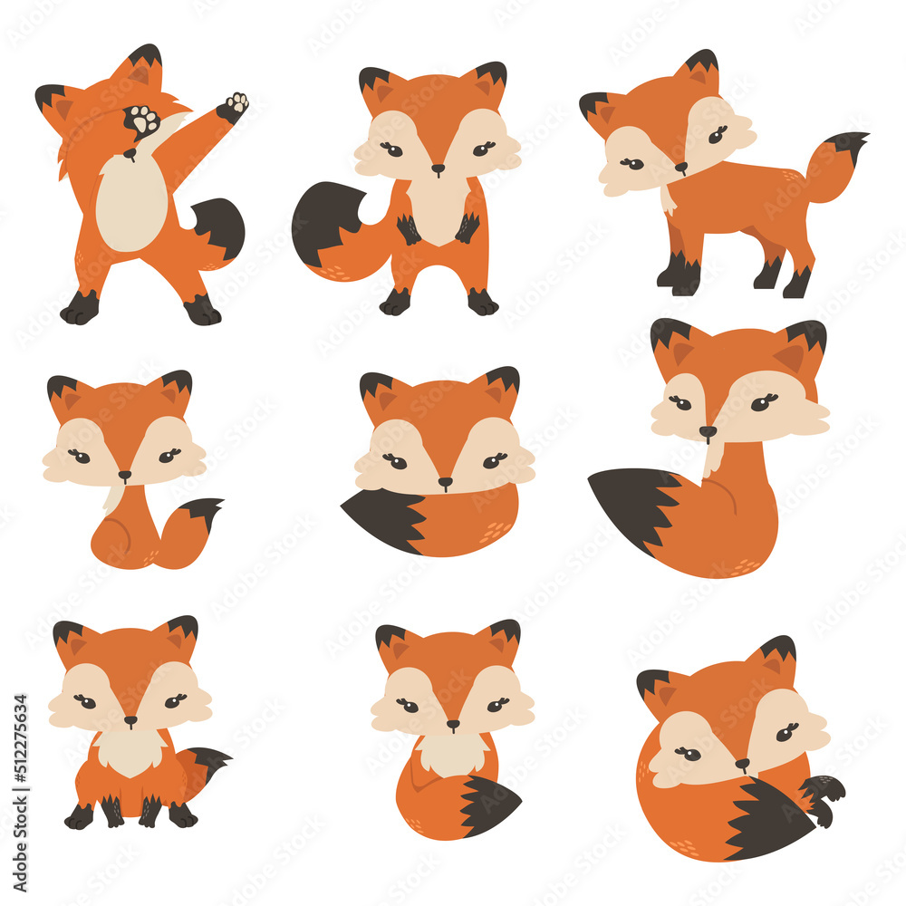 Fototapeta premium Cute foxes cartoon in different poses collection