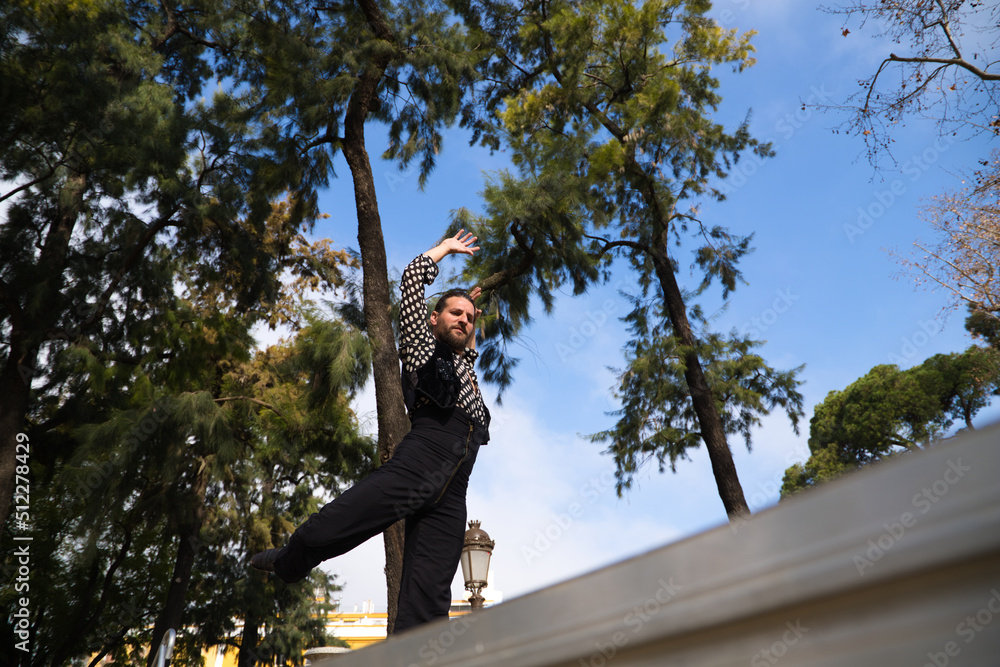 gypsy man with long hair dancing flamenco on an open air stage in a park in seville and he is doing different postures with a lot of passion. Flamenco dance concept cultural heritage of humanity. gypsy man with long hair dancing flamenco on an open air stage in a park in seville and he is doing different postures with a lot of passion. Flamenco dance concept cultural heritage of humanity.