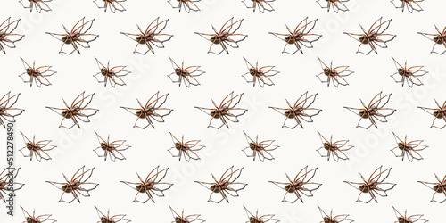 Seamless pattern with big spider isolated on white background. Large representative of the domestic arachnid. Fear or spider phobia. 8 legs. Copy space. Studio photo. Flower shape art concept © Hanna