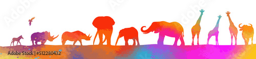 African colorful animals. Vector illustration photo