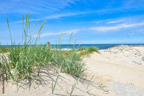 beautiful beach and the Baltic Sea, dunes in Poland